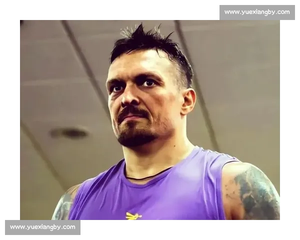 贝卢对决乌西克重量级荣耀之战世纪巅峰对决全纪录拳坛传奇时刻揭